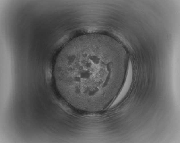 X0000115550691200911131605