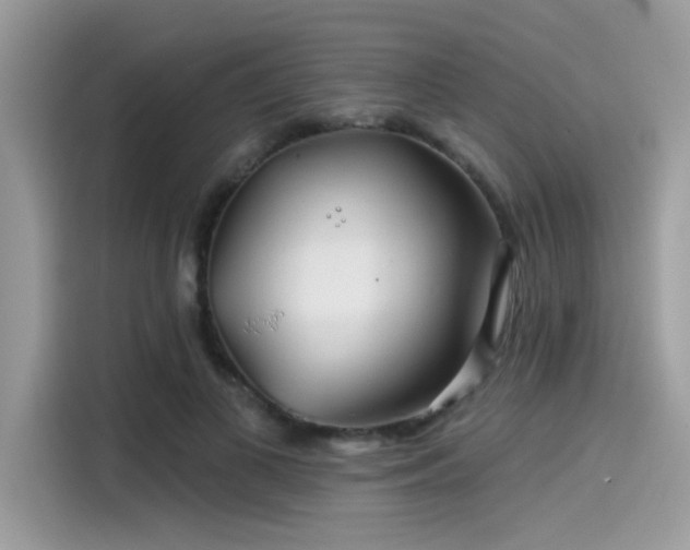 X0000115550693200911131605