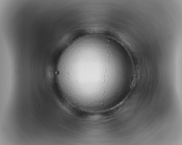 X0000115550695200911131605