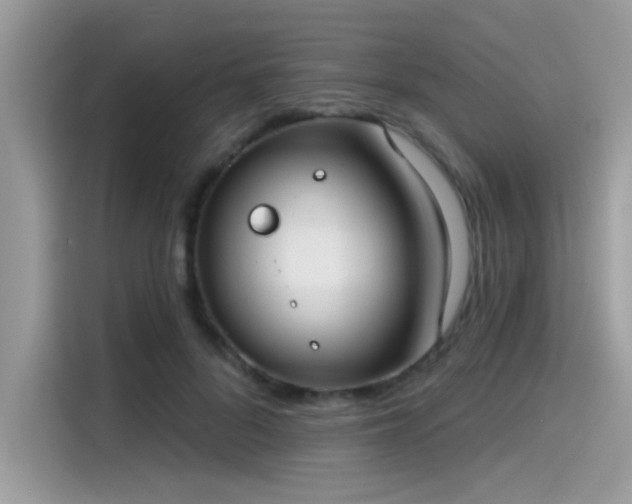 X0000115550696200911131605