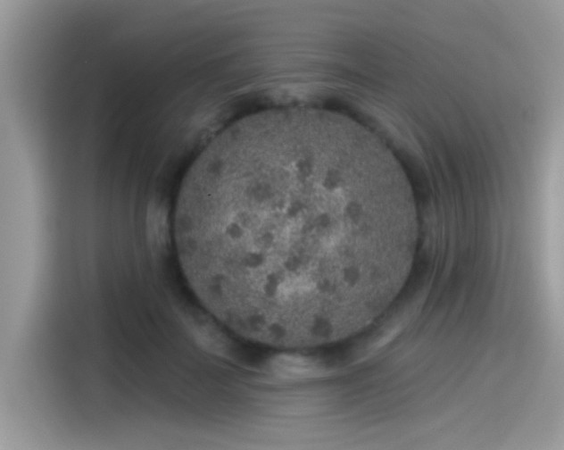 X0000115550699200911131605