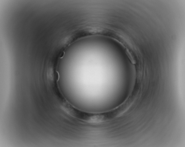 X0000115550700200911131605