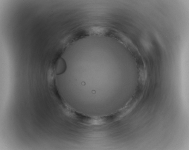 X0000115550701200911131605