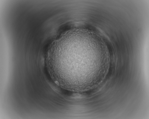 X0000115550703200911131605