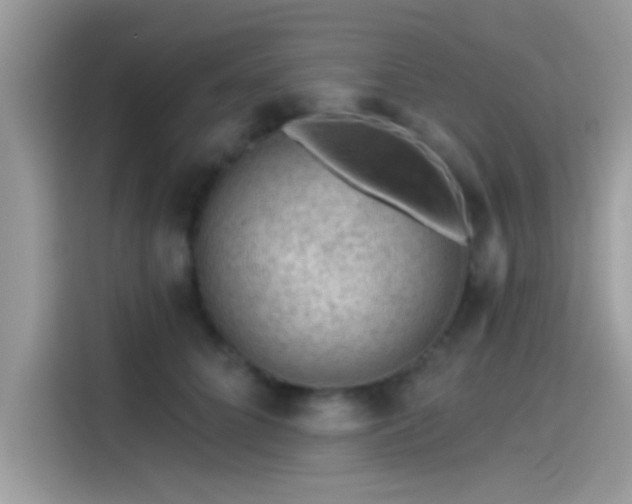 X0000115550704200911131605