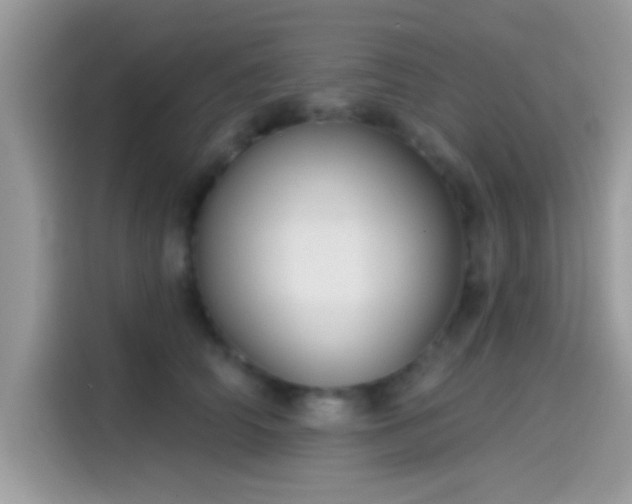 X0000115550706200911131605