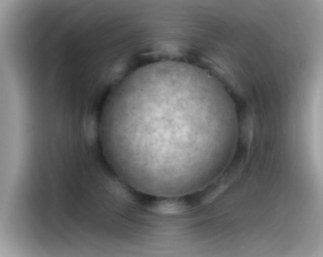 X0000115550708200911131605