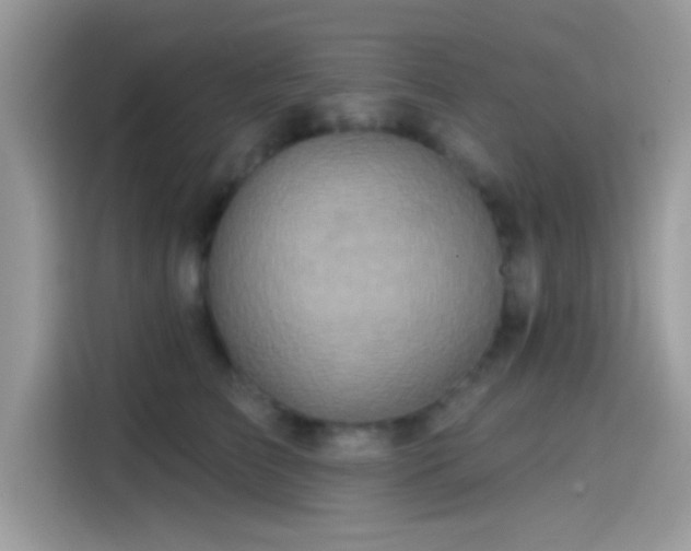 X0000115550709200911131605