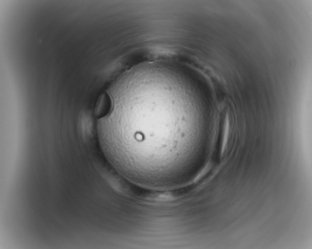 X0000115550715200911131605