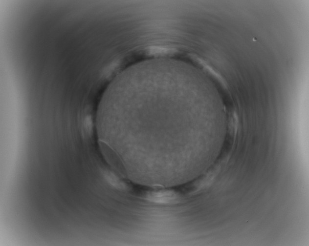 X0000115550716200911131605