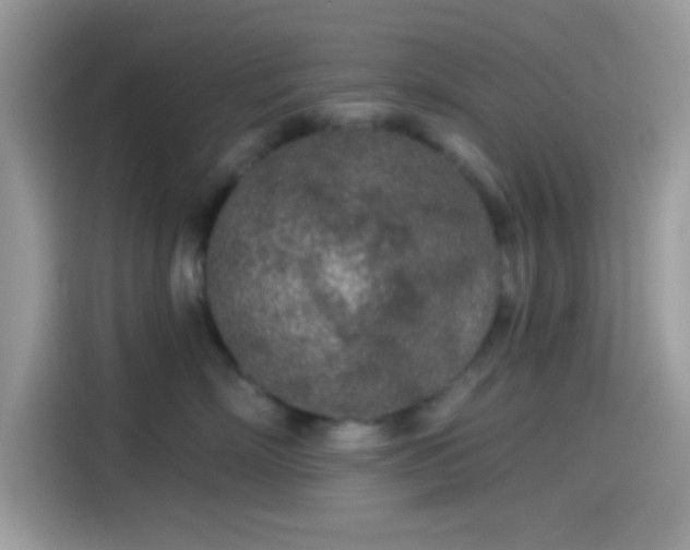 X0000115550718200911131605