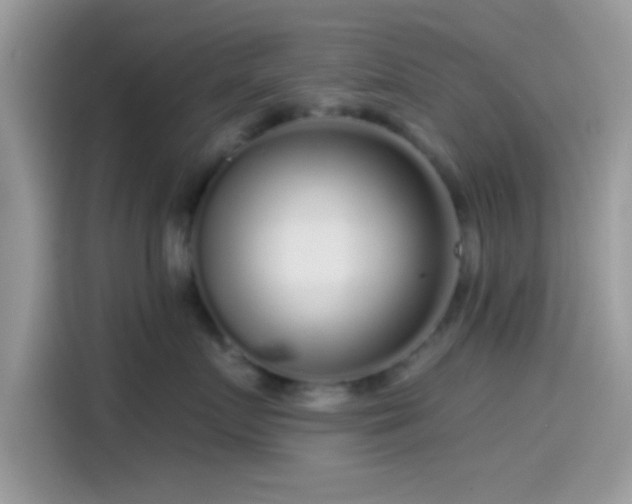 X0000115550719200911131605