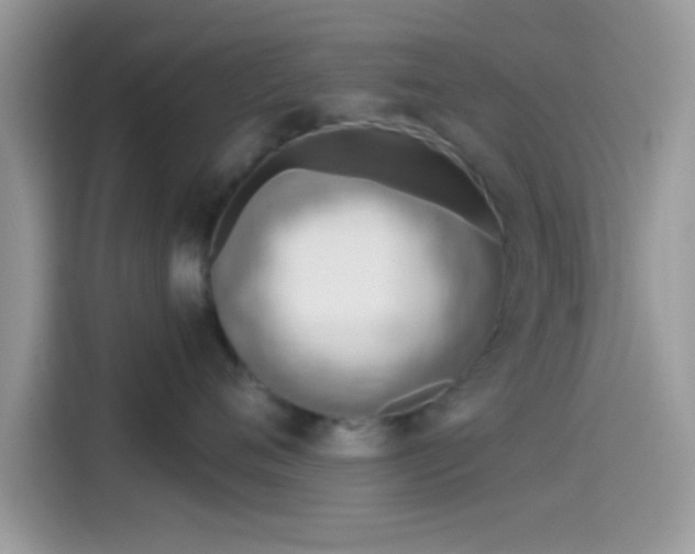 X0000115550720200911131605