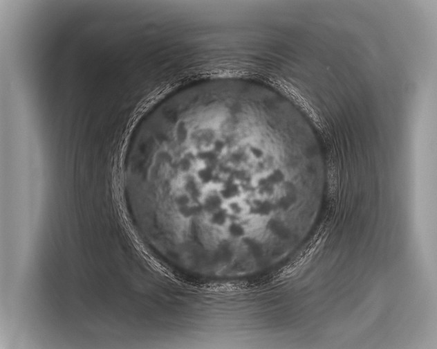 X0000115550721200911131604