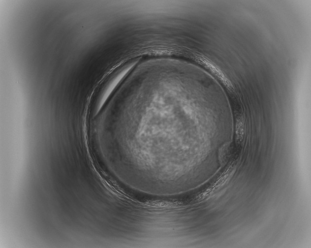 X0000115550722200911131604