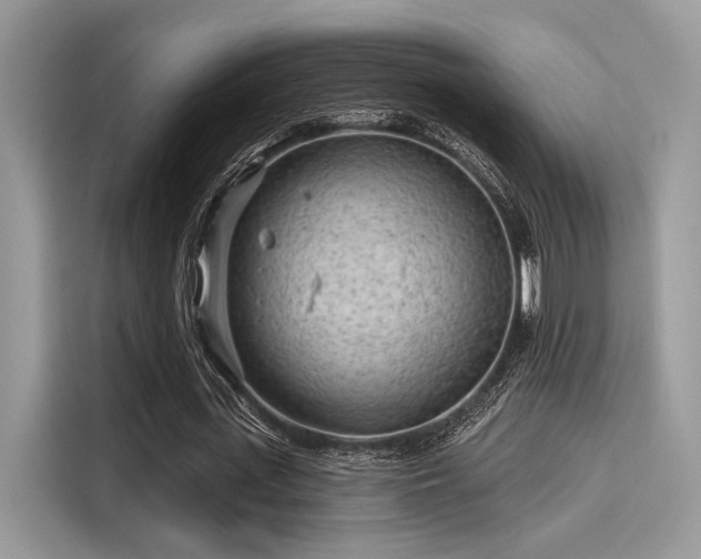 X0000115550723200911131604