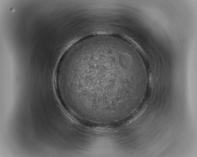 X0000115550725200911131604