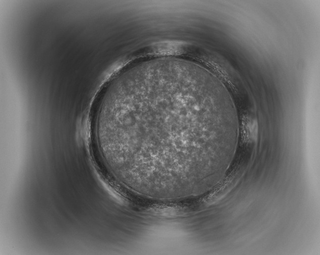 X0000115550726200911131604