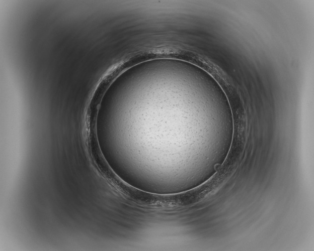 X0000115550727200911131604