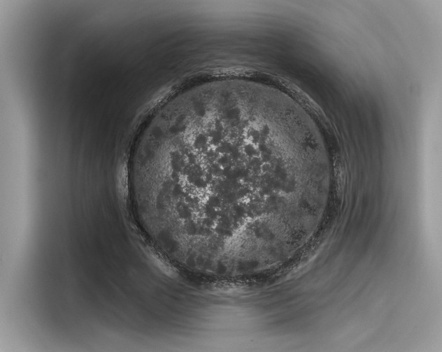 X0000115550729200911131604