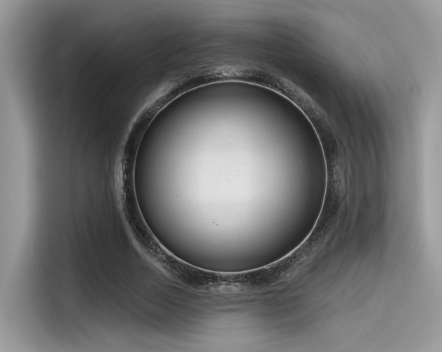 X0000115550730200911131604