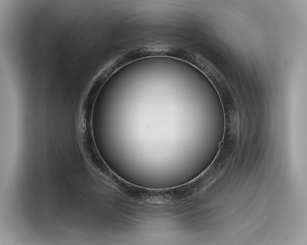 X0000115550731200911131604