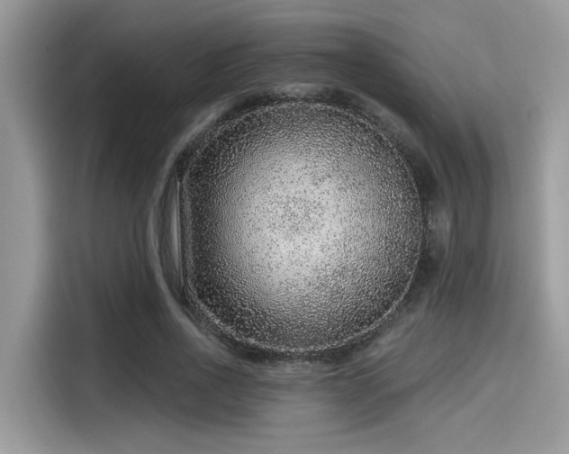 X0000115550734200911131604