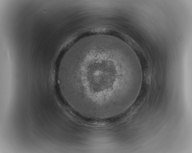 X0000115550735200911131604