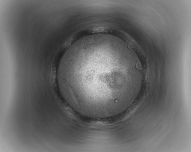 X0000115550737200911131604