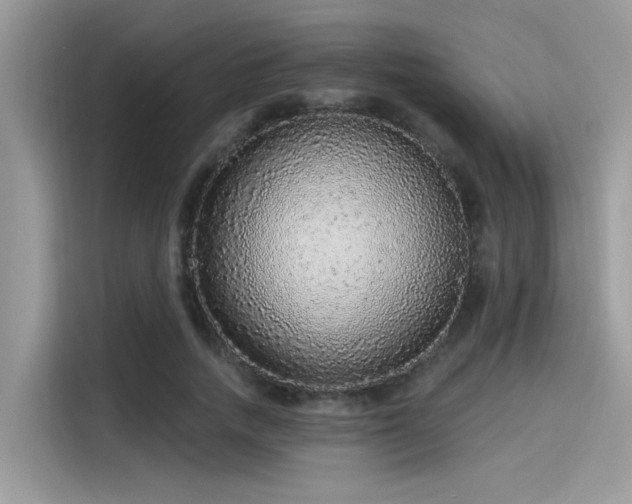 X0000115550738200911131604