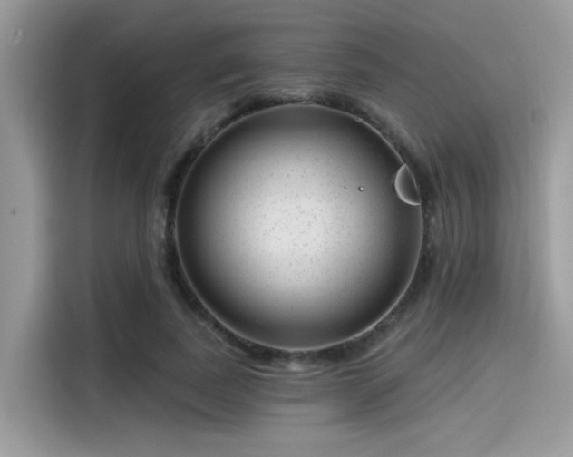 X0000115550739200911131604