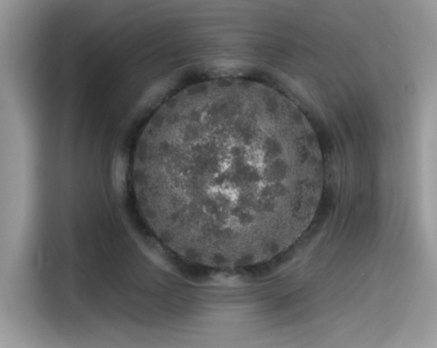 X0000115550742200911131604