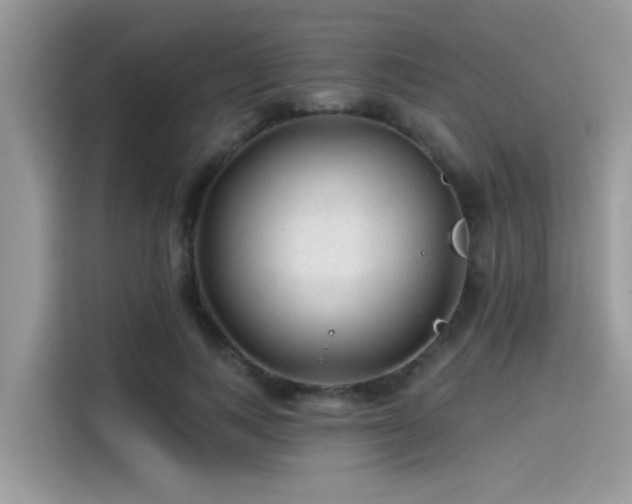 X0000115550743200911131604