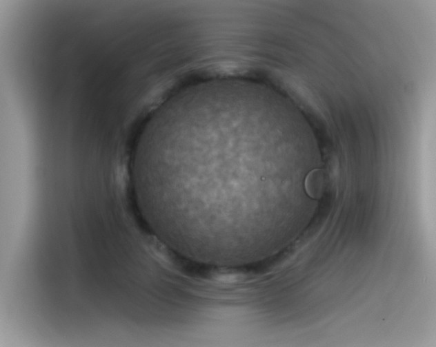 X0000115550746200911131604