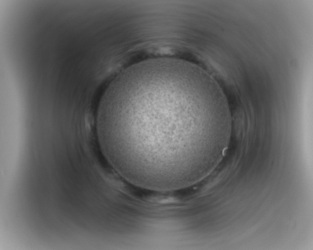 X0000115550747200911131604