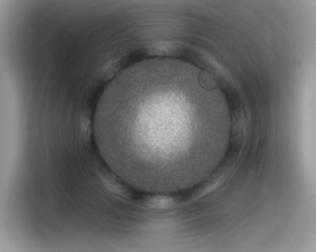 X0000115550749200911131604