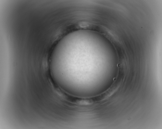 X0000115550751200911131604