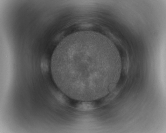 X0000115550758200911131604