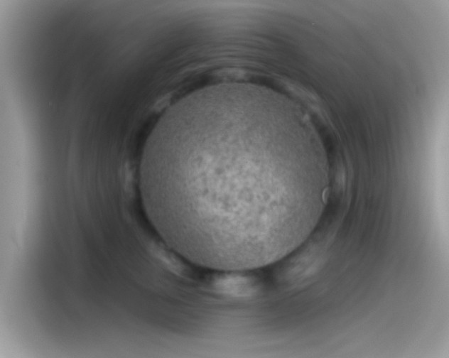 X0000115550759200911131604