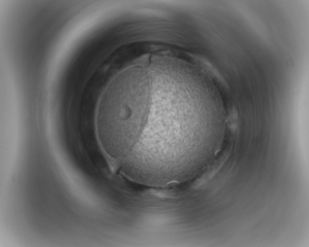 X0000115550763200911131604