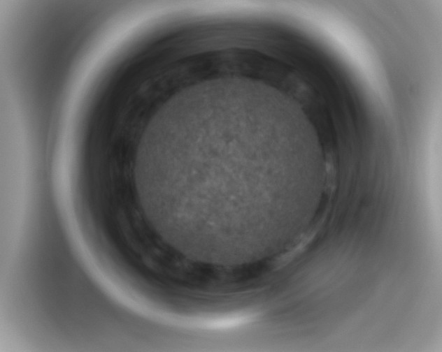 X0000115550765200911131604