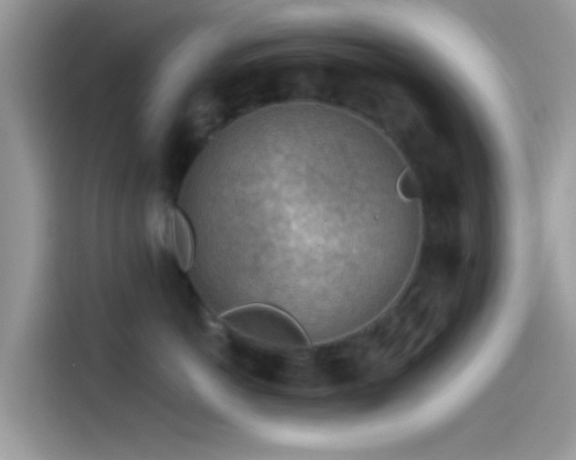 X0000115550766200911131604