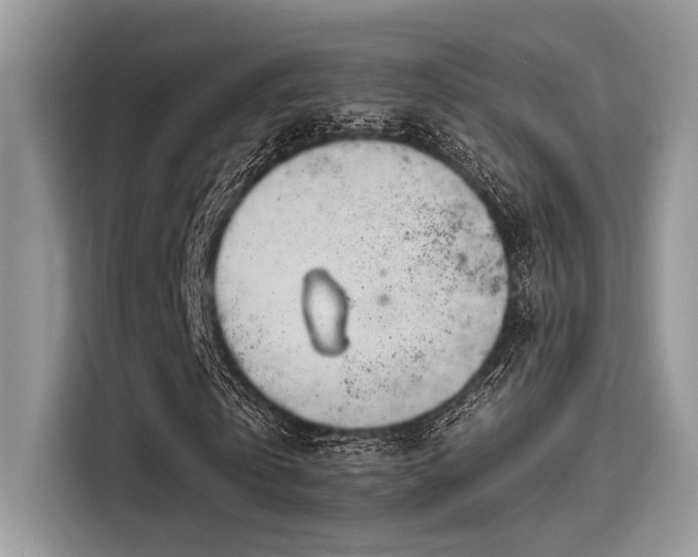 X0000115550769200911131604