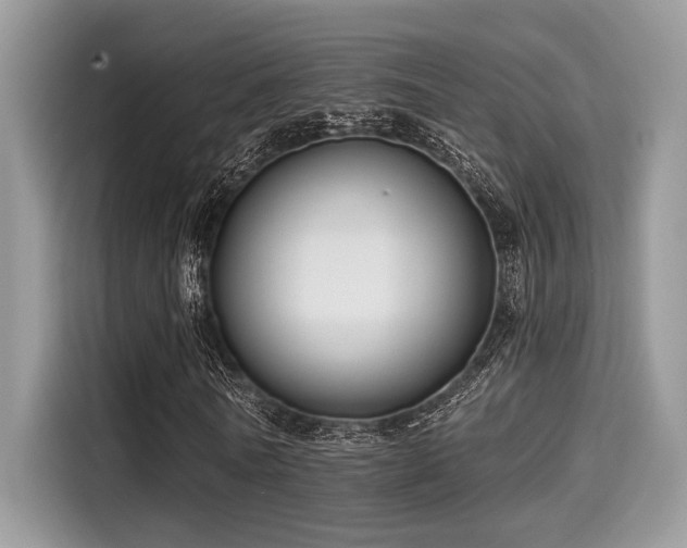 X0000115550770200911131604