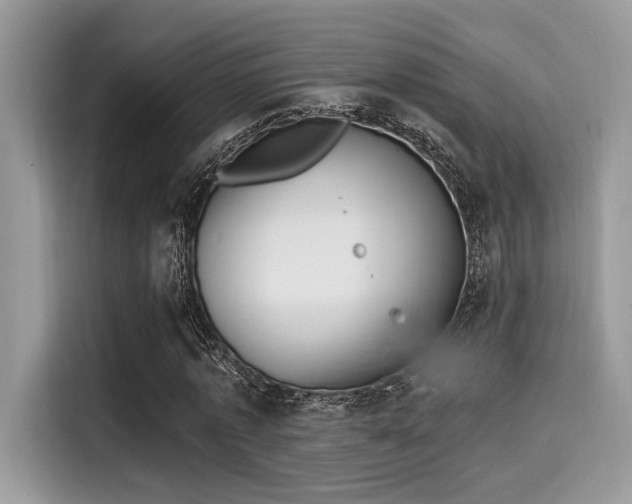 X0000115550773200911131604