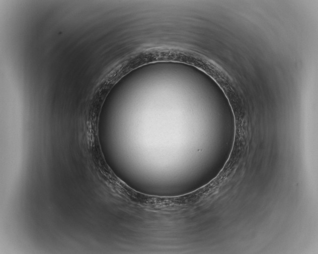 X0000115550774200911131604