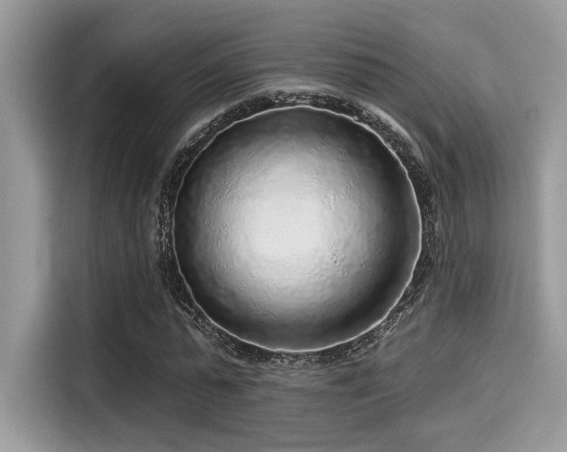 X0000115550775200911131604