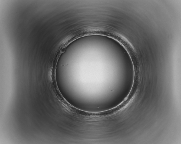 X0000115550777200911131604