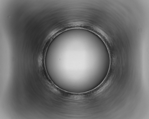 X0000115550778200911131604