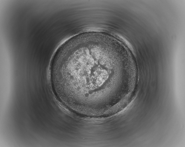 X0000115550779200911131604